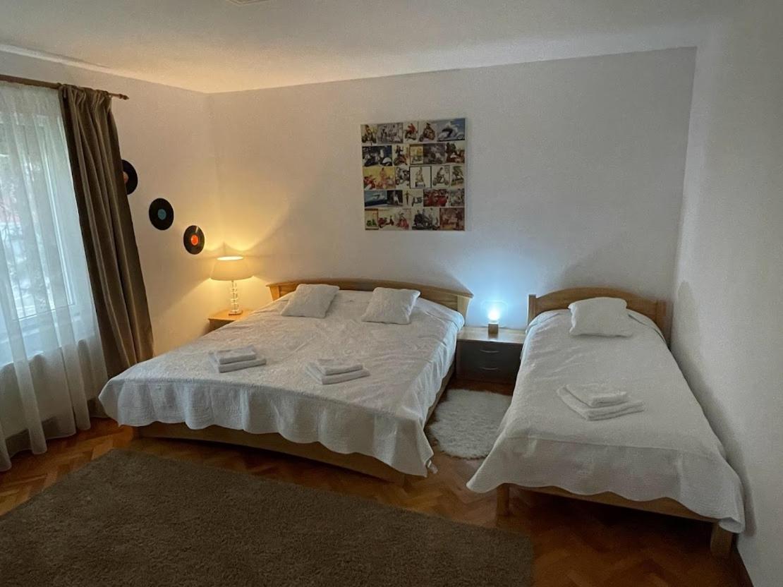 Crisan 40 Casa Muntean 100Mp 3Camere 3Paturi 1 Canapea 2 Dormitoare Parcare 티미쇼아라 외부 사진